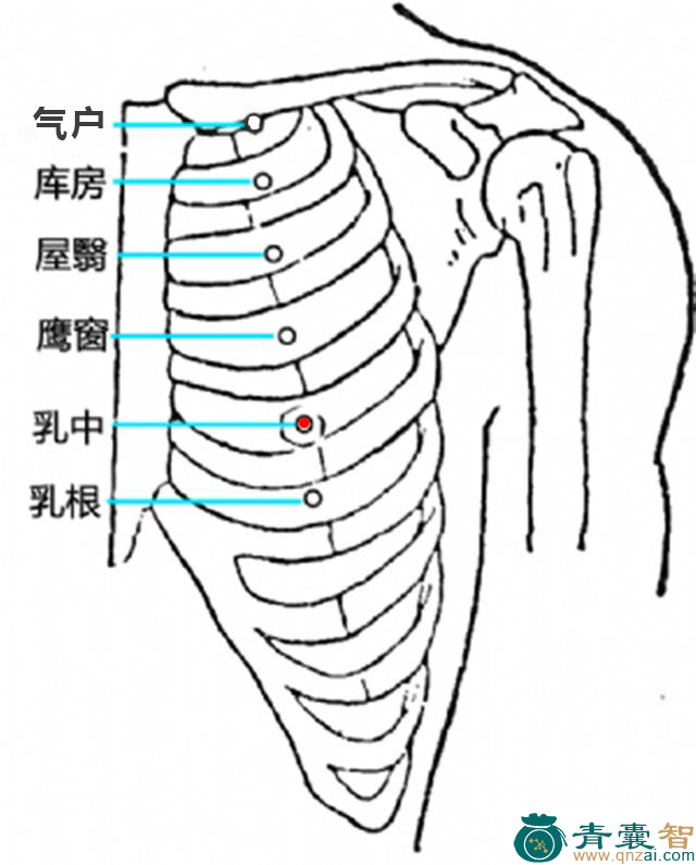 乳中穴位置图解