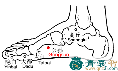 公孙穴位置图解