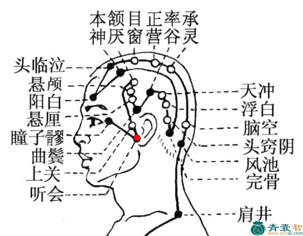 听会穴位置图解