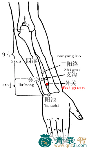 外关穴位置图解