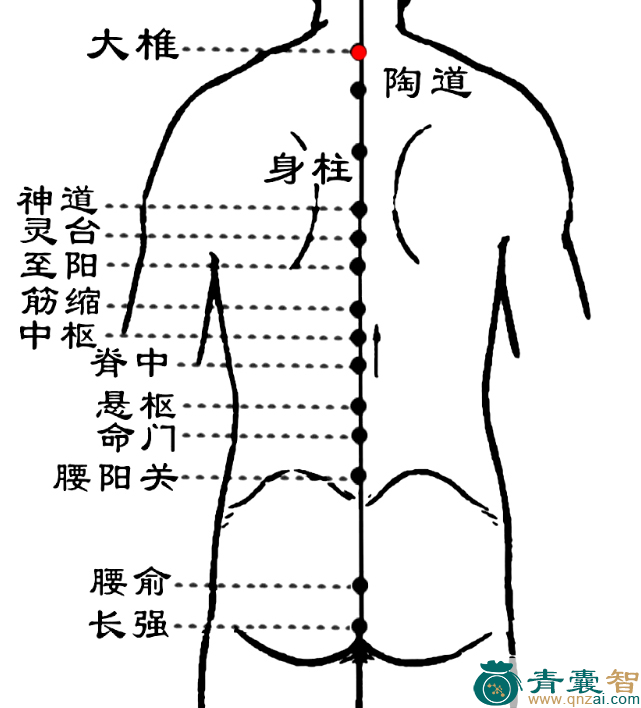大椎穴位置图解