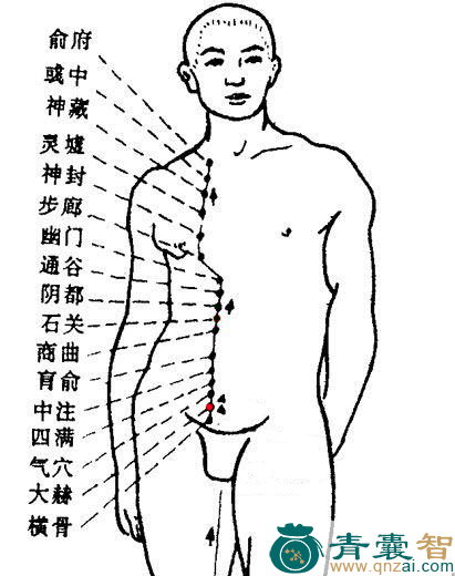 大赫穴位置图解