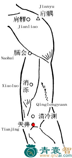 天井穴位置图解