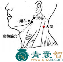 天窗穴位置图解