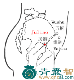 居髎穴位置图解