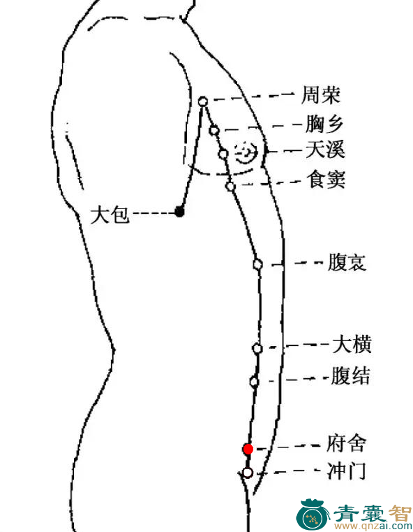 府舍穴位置图解