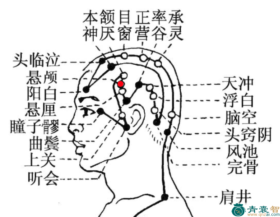 悬颅穴位置图解