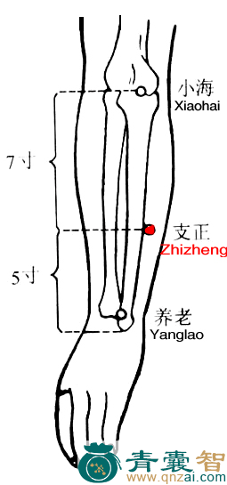 支正穴位置图解