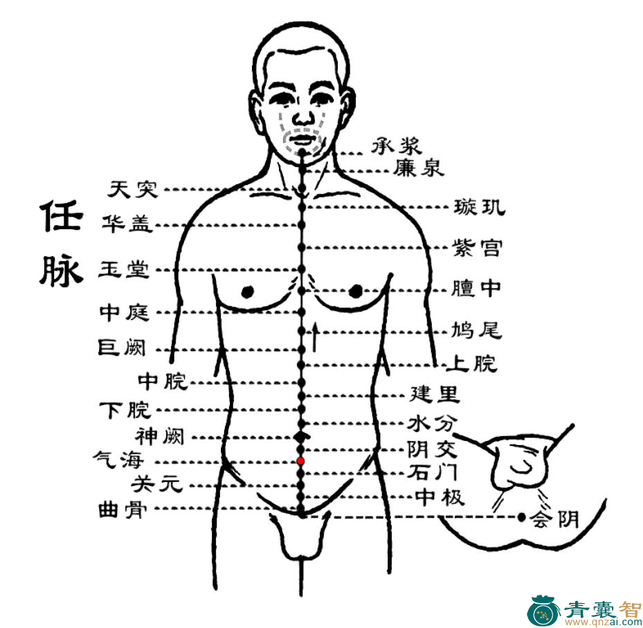 气海穴位置图解