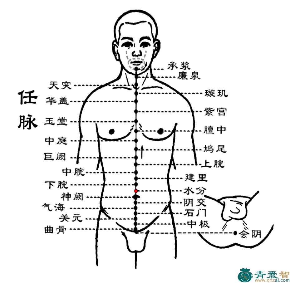 水分穴位置图解
