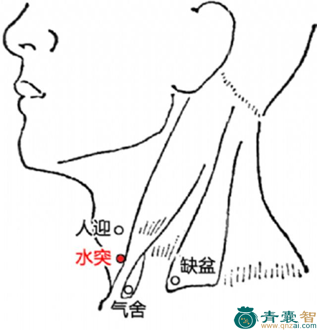 水突穴位置图解