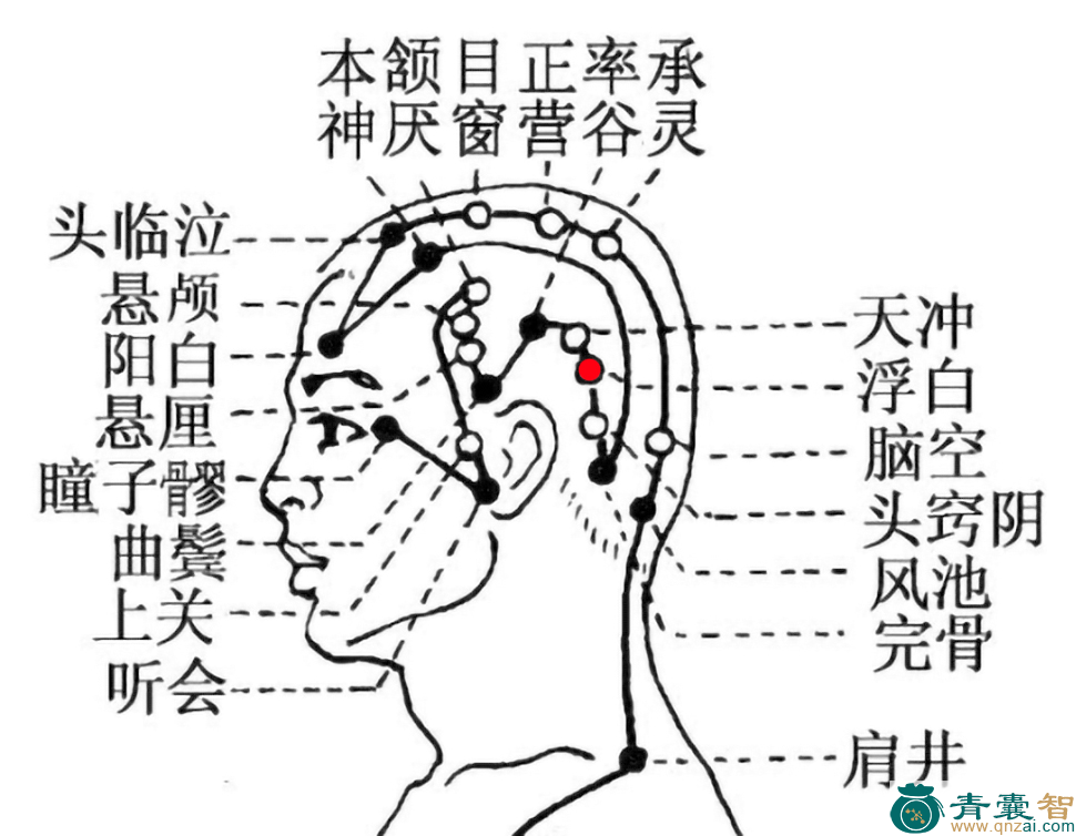 浮白穴的主治功效位置图解-青囊智