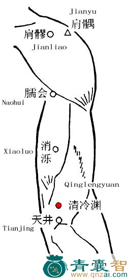 清泠渊穴位置图解