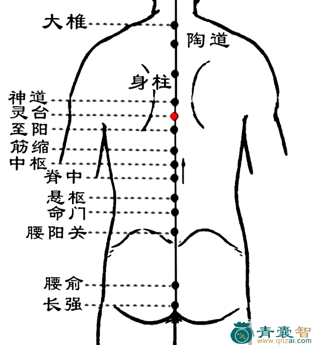 灵台穴位置图解
