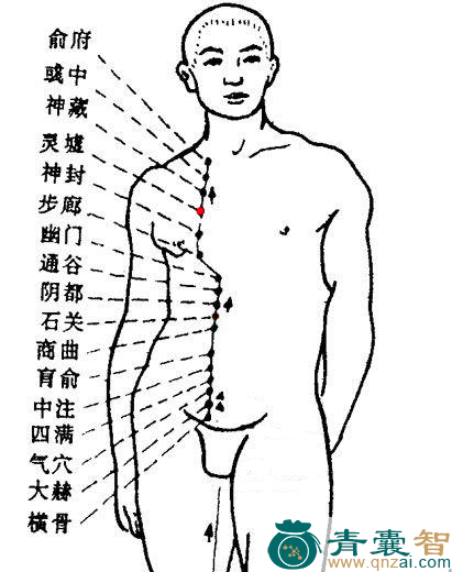 灵墟穴位置图解