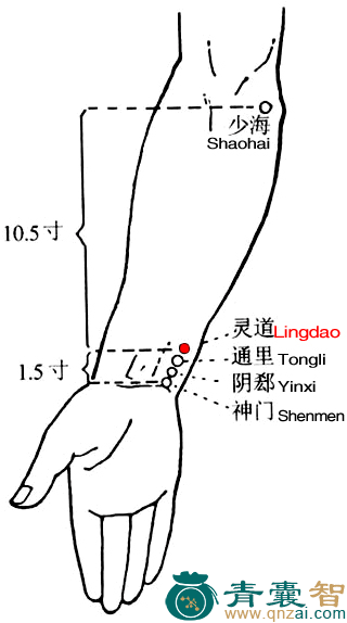灵道穴位置图解