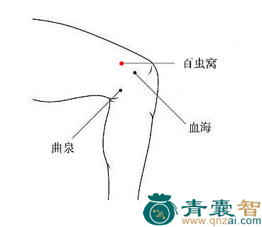 百虫窝穴位置图解