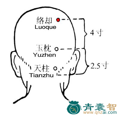 络却穴位置图解