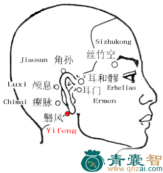 翳风穴的主治功效位置图解-青囊智