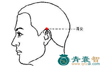 耳尖穴位置图解
