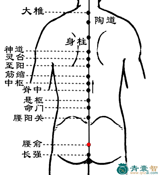 腰俞穴位置图解