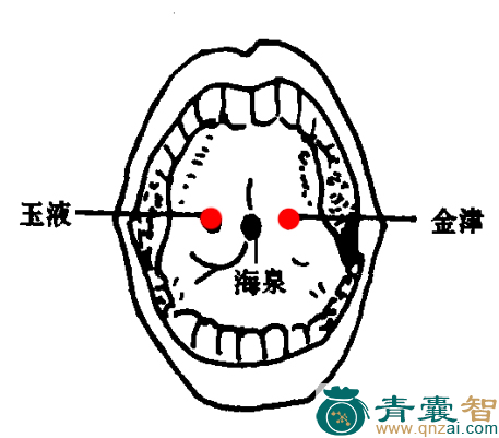 金津玉液穴位置图解
