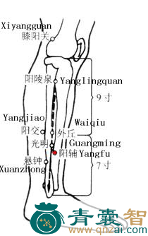 阳辅穴位置图解