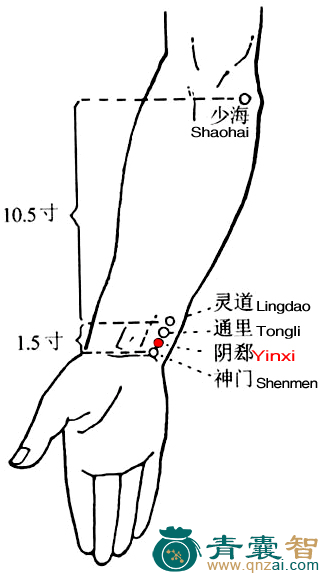 阴郄穴位置图解