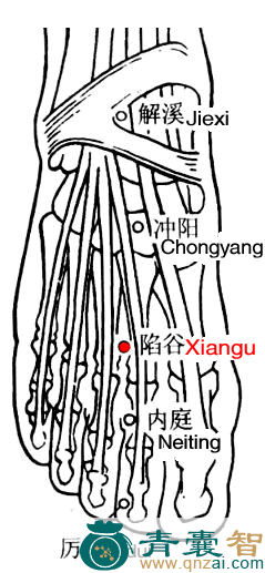 陷谷穴位置图解