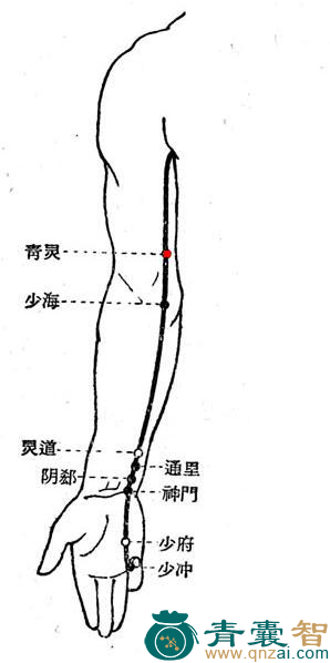 青灵穴位置图解