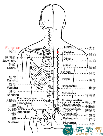 风门穴位置图解