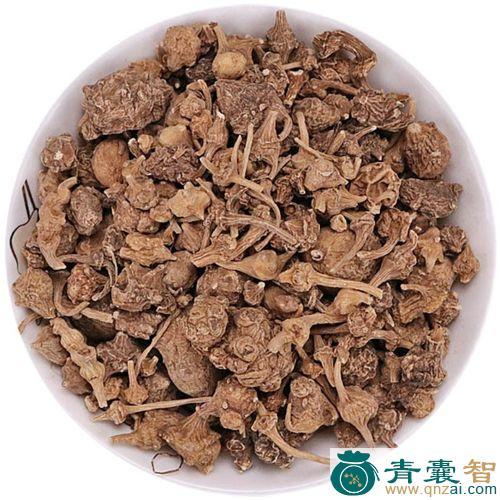 中药材一串纽子图片