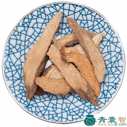 一兜棕的性状性味归经以及功效用法和注意事项-青囊智