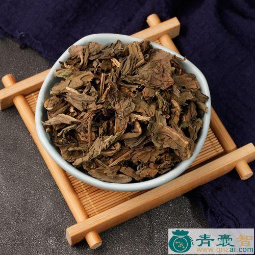中药材一叶青图片