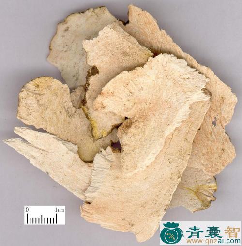 中药材一帆青图片