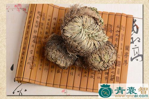 一把抓的性状性味归经以及功效用法和注意事项-青囊智
