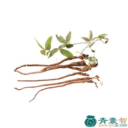 中药材一条根图片