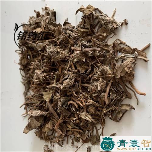 中药材一条香图片