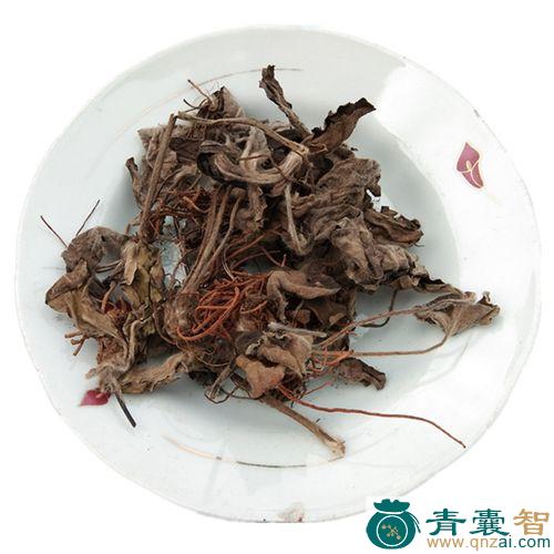 中药材一根香图片