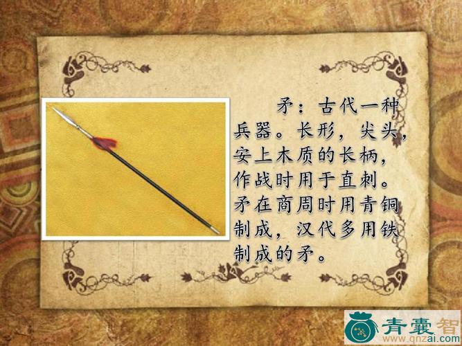 中药材一矛一盾图片