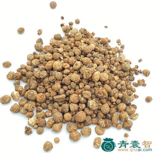 中药材一粒珠图片