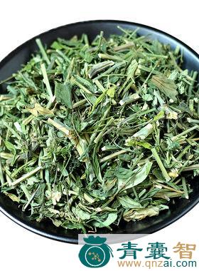 一见莲的性状性味归经以及功效用法-青囊智