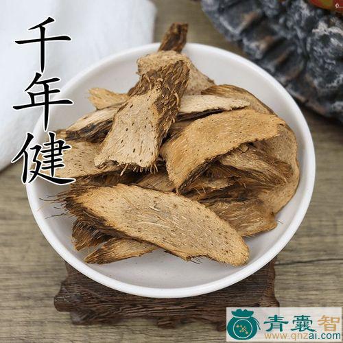 中药材一颗针图片