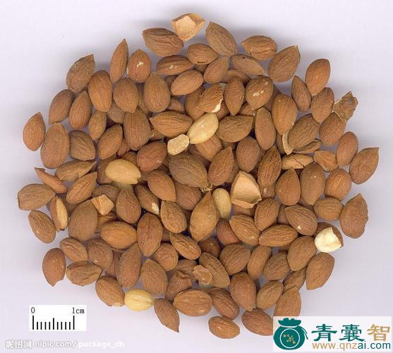 丁季李的性味归经以及功效用法-青囊智