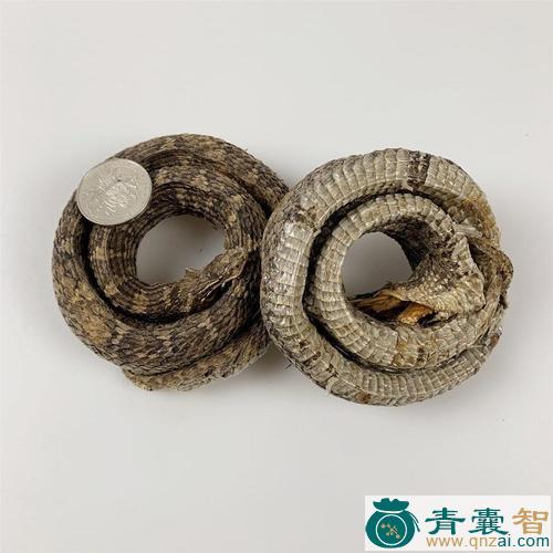 中药材七寸子图片