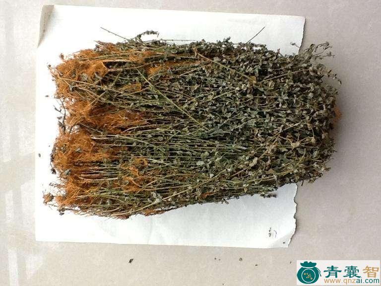 七寸风的性状性味归经以及功效用法和注意事项-青囊智