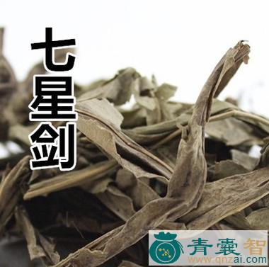 中药材七星图片