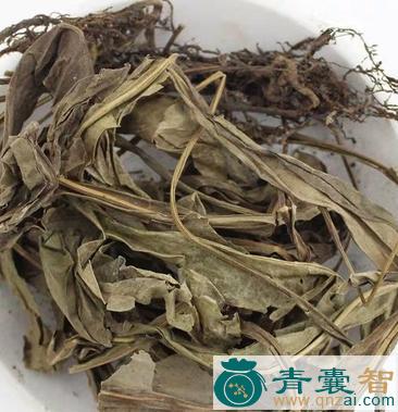 中药材七星坠地图片