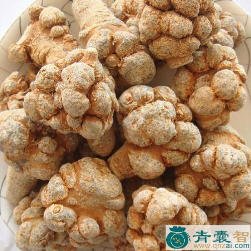中药材七星菊图片