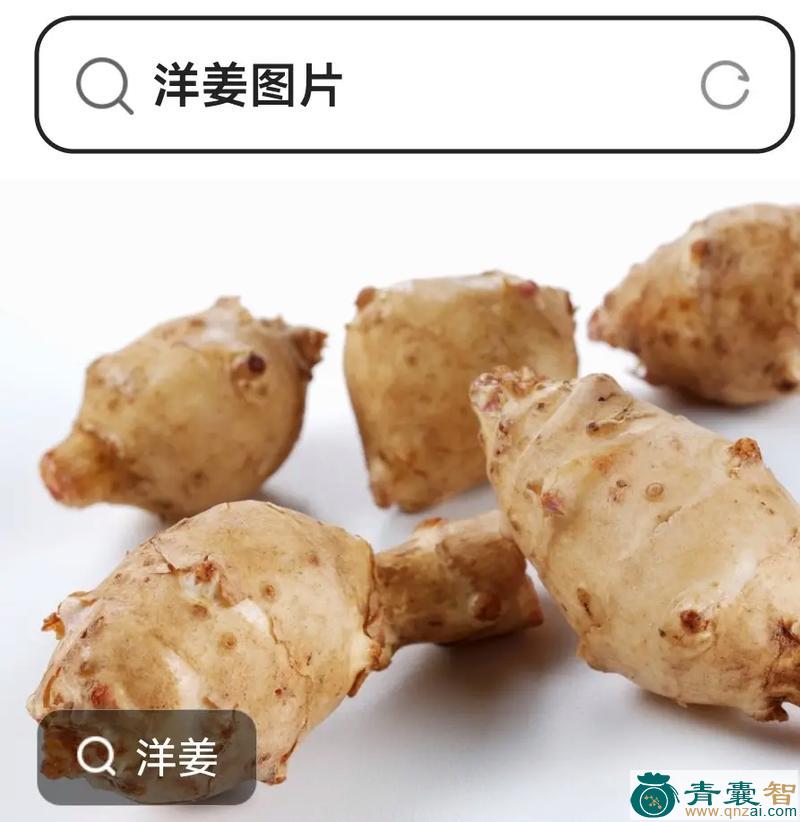 中药材七爪阳姜图片
